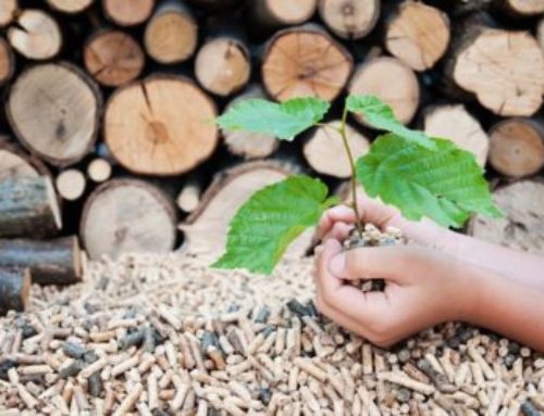 Il pellet fa bene al clima